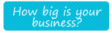 How Big is Your Business?